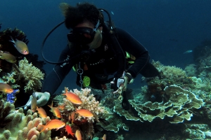 Pseudanthias squamipinnis et notre guide de plongée