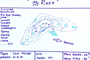 Spot  "My Reef"