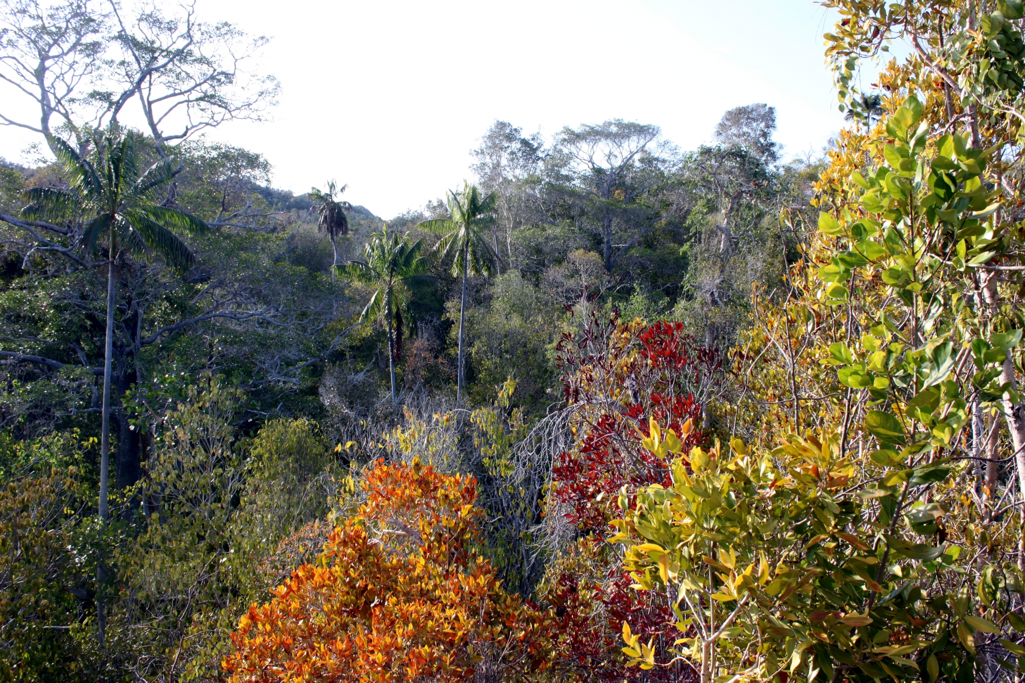 Trek dans les îles de Fam