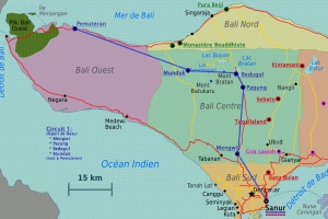 1 Carte circuits BALI Circuit 1