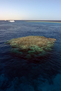 Site de Marsa Alam, spot "Shaab Marsa Alam"