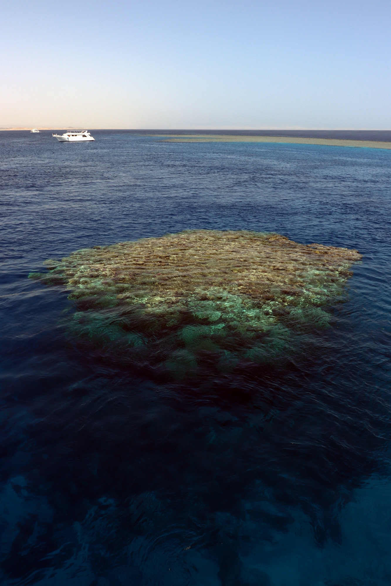 Site de Marsa Alam, spot "Shaab Marsa Alam"