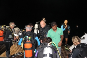 Plongée de nuit à "Satayah sud"