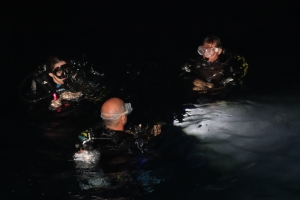 Site de Fury Shoal, spot "Satayah sud", plongée de nuit