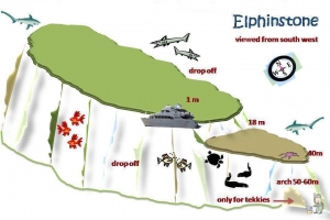 Site de Marsa Halam, spot "Elphinstone" (mur sud-est, plateau sud, mur sud-ouest)