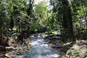La rivière Matutinao