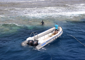 Elphinston Reef