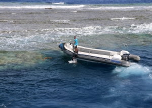 Elphinston Reef