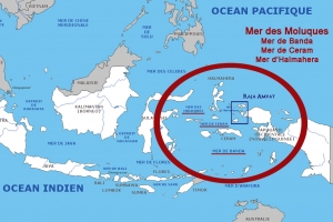 Raja Ampat en Indonésie