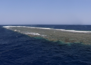 Elphinstone reef