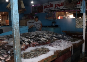 Un des stands du Marché aux poissons