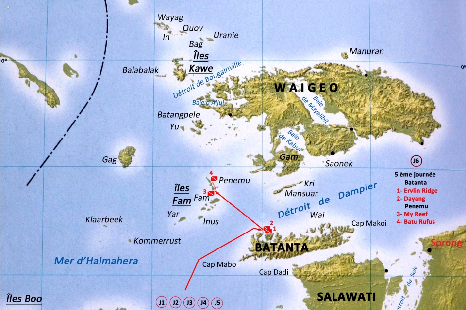 Dimanche, premières plongées au centre de Raja Ampat