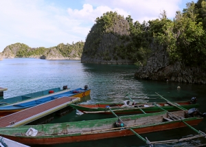 Site Panoramique sur l'île de Penemu