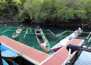 Site Panoramique sur l'île de Penemu