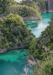 Site Panoramique sur l'île de Penemu