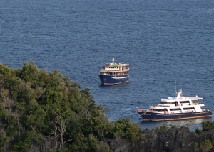 Site Panoramique sur l'île de Penemu