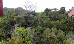 Site Panoramique sur l'île de Penemu