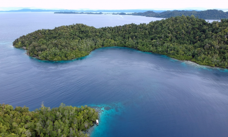 Vue aérienne du site sur l'Île Janggelo