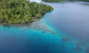 Superbes couleurs de dégradées dans les tons turquoises contrastant avec le vert de la forêt équatoriale