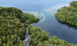 Vue aérienne du chenal qui se jette dans la mer d'Halmahera