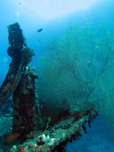 Proue de l'épave " Kuda Giri Wreck "