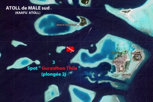 Spot " Guraidhoo Thila "