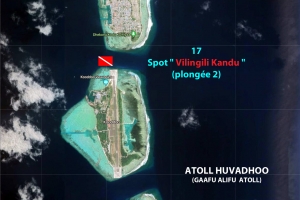 Spot " Vilingili Kandu "