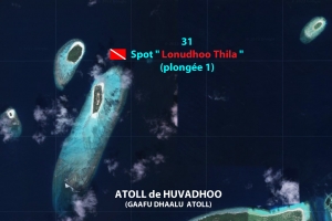 Spot " Lonudhoo Thila "