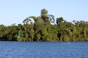 Samedi : départ de Sorong pour Misool