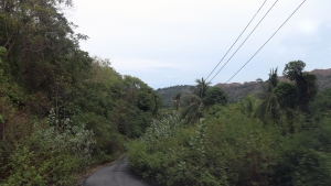 Traversée dans la jungle