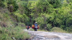 Transport des poissons par motos