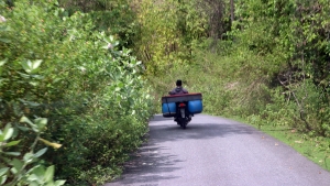 Transport de la pêche du jour