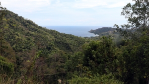 Panorama sur la côte