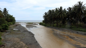 Rivière boueuse se déversant dans la mer des Moluques