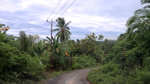 Une plongée dans la jungle dés la sortie du village