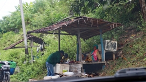 Vente de poisson sur le bord de la route