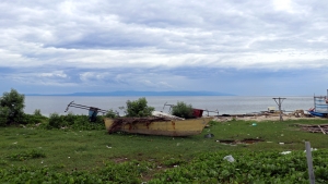 Barques de pêche