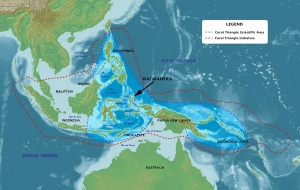 Triangle de Corail