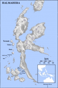 Spots de plongée à l'est et sud d'Halmahera