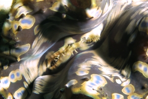 12 IMG_3842+15h26