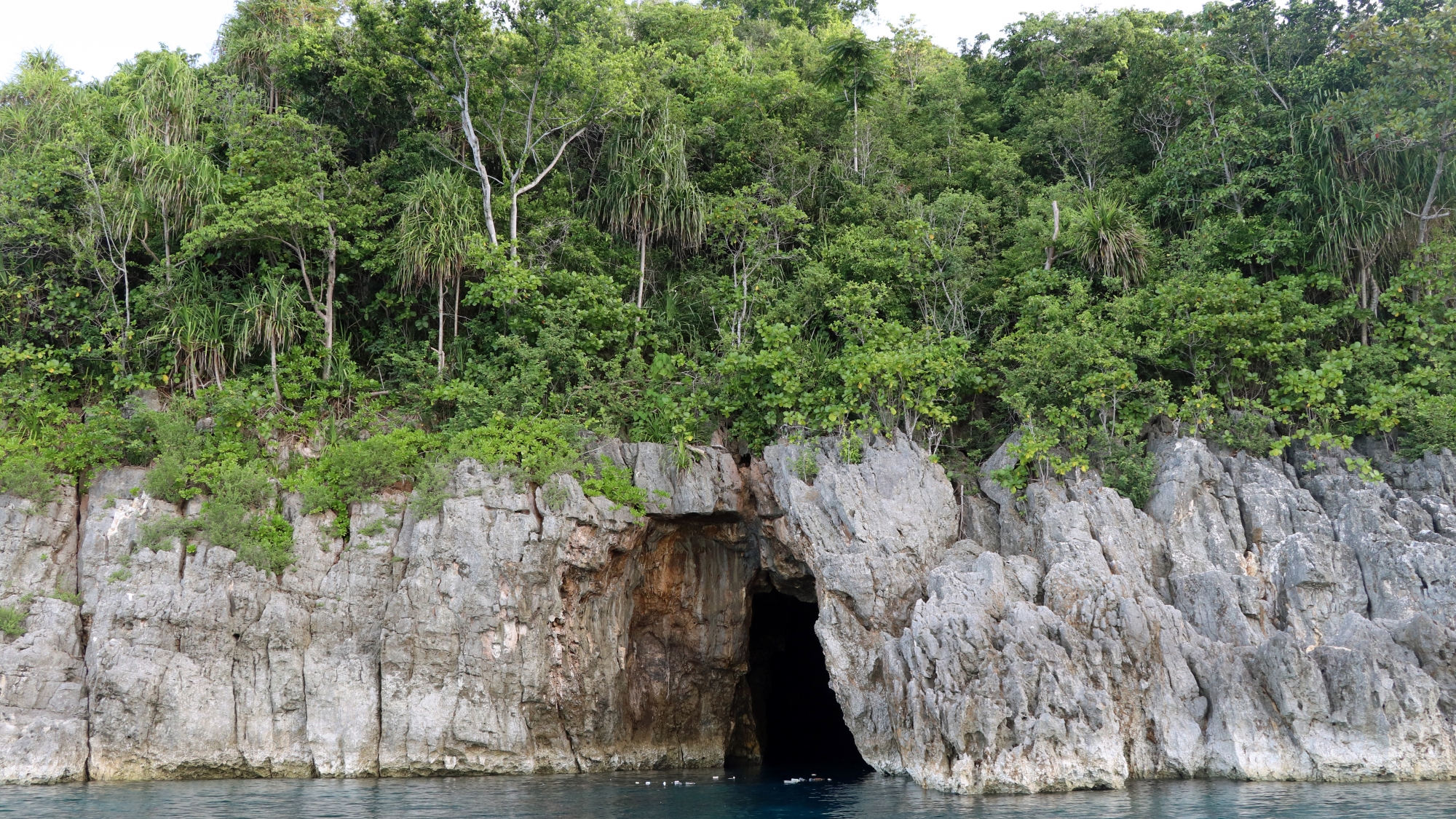 Grotte à chauves-souries sur la côte de Pulau Laigoma