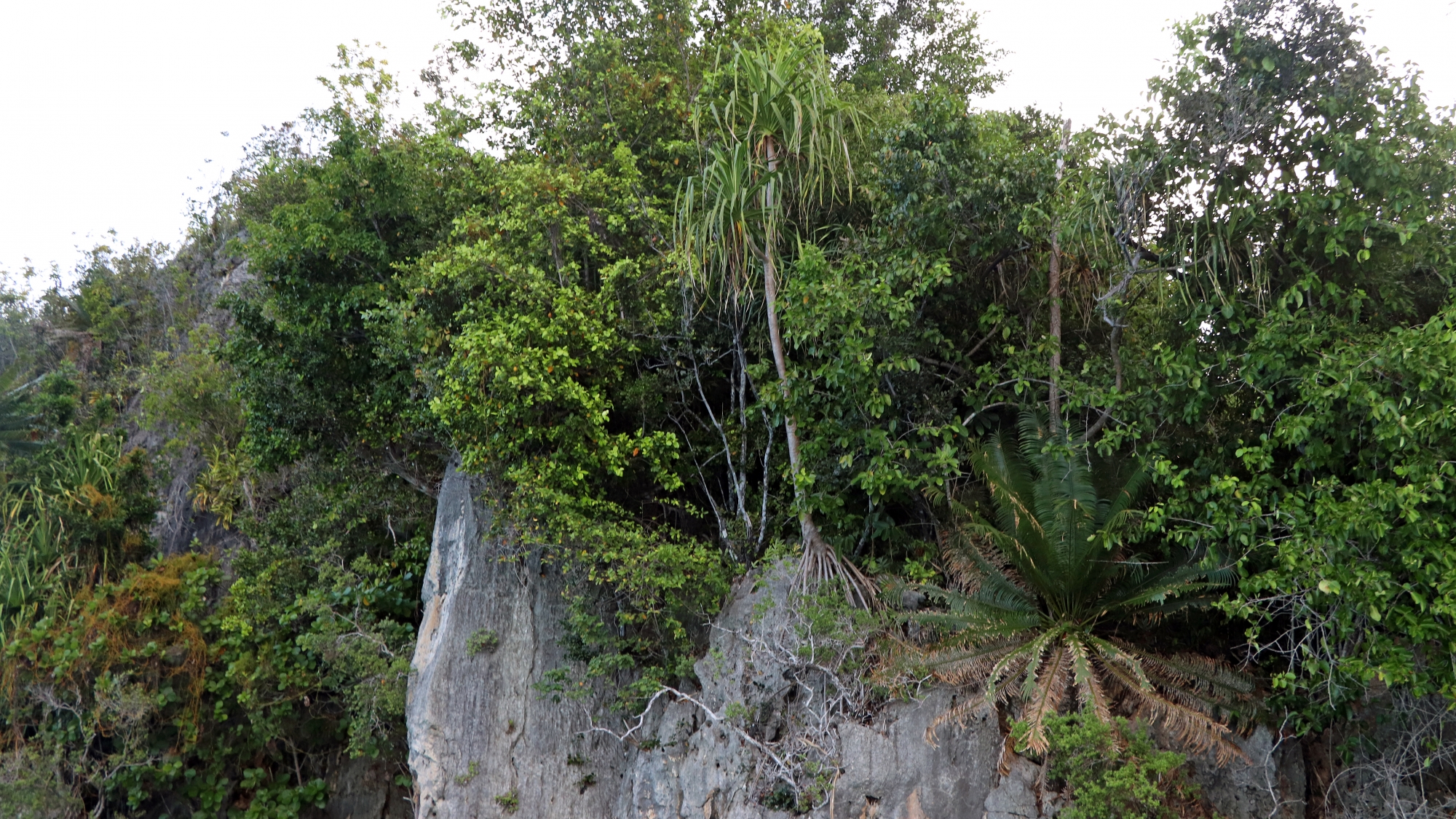 Balade le long de la côte de Pulau Laigoma