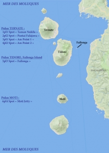 Plongées sur Pulau Ternate, Pulau Tidore et Pulau Moti