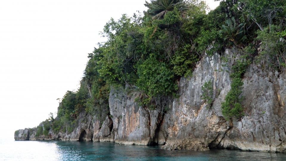 Végétation dense débordant le long du littoral de Pulau Laigoma