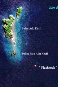 Spot " Flashrock "