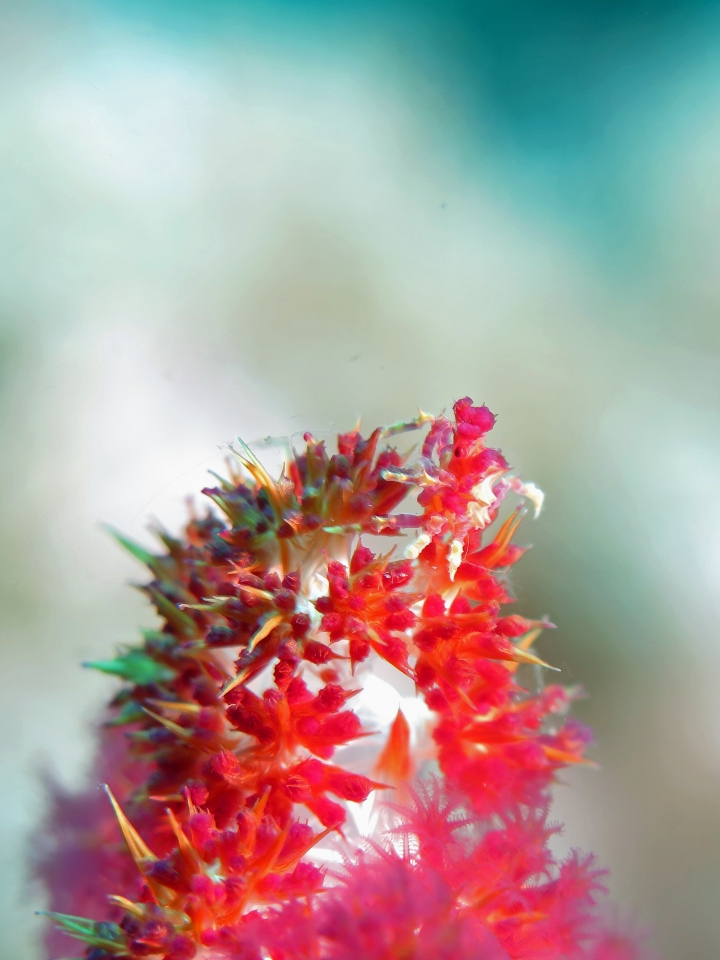 10 IMG_4956+ 11h45