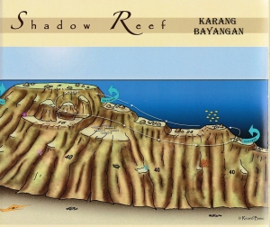 Spot "Shadow reef"