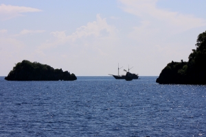 Lundi, Île de Boo (Misool)