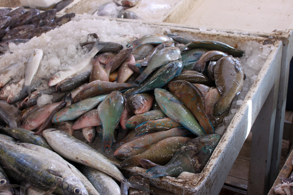 Marché aux poissons