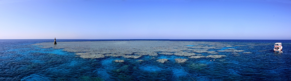 Spot de Middle Reef